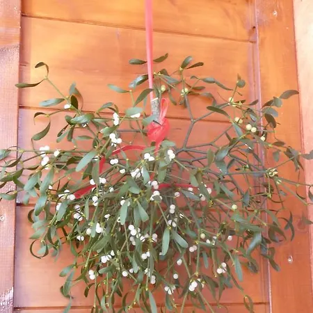 Haus Rosenrot Bischofswiesen